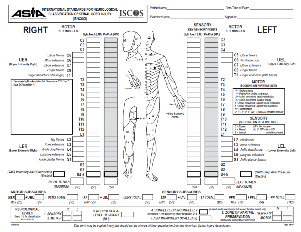 15 Spinal Shock – Medical Junkies